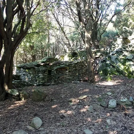 Spot